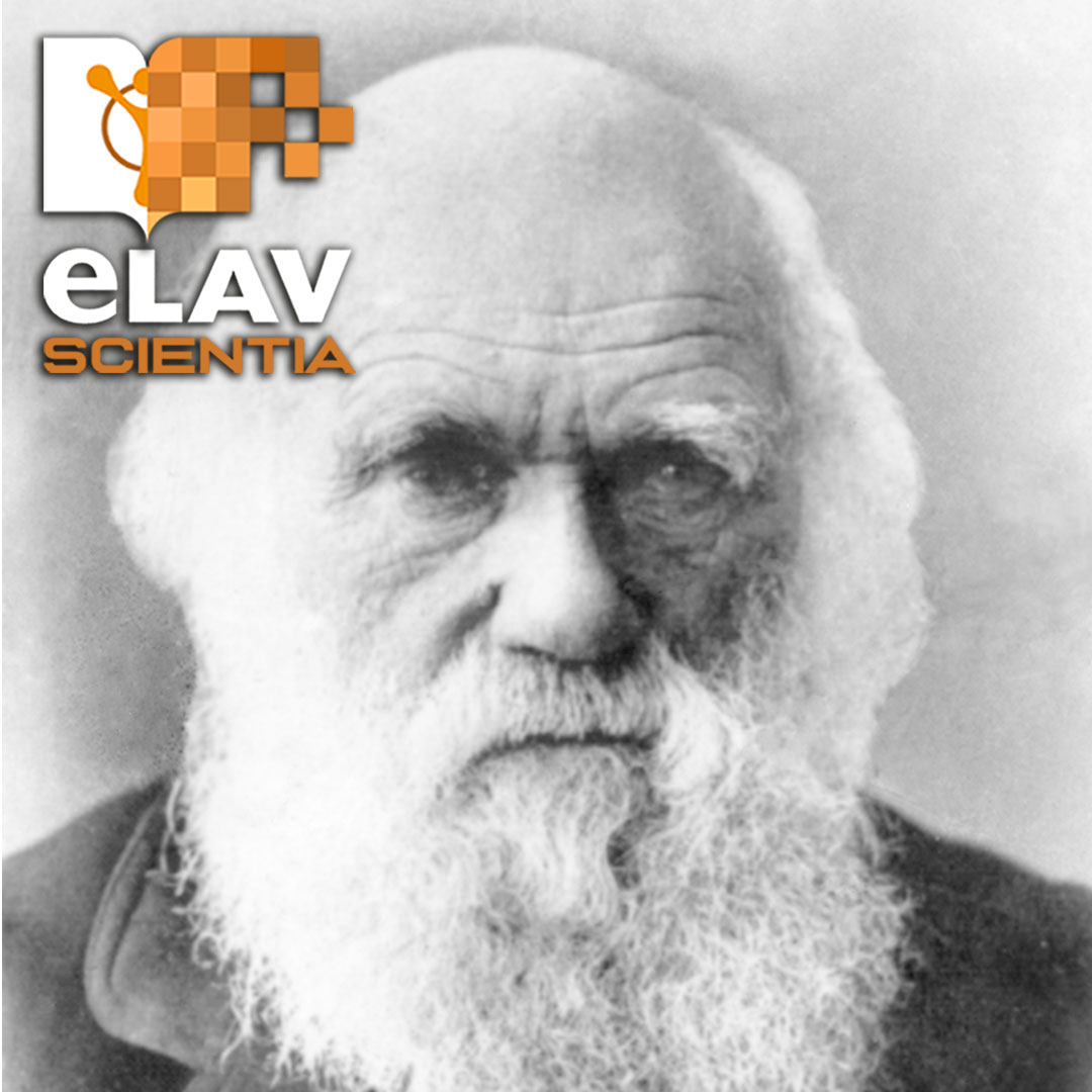 Darwin E La Teoria Dell'Evoluzione