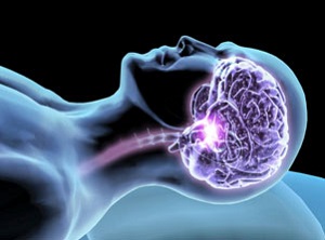 Il sonno riequilibra l'attività  delle sinapsi