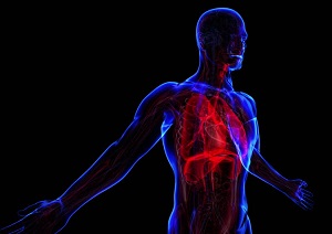 cardiovascolare