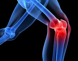 articolazione ginocchio